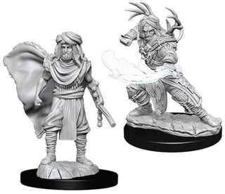 D&D Minis: Nolzur`s Marvelous Unpainted Miniatures, W6 Male Human Druid